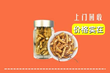 收购资讯:七台河茄子河回收散虫草