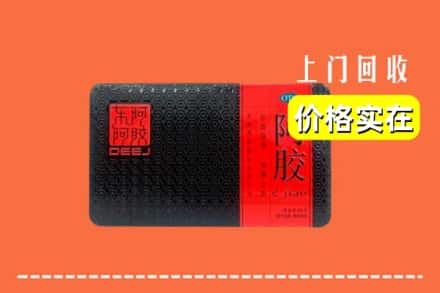 收购资讯:七台河茄子河回收阿胶