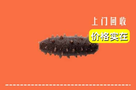 收购资讯:七台河茄子河回收海参